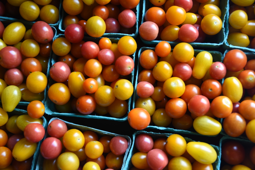 Good Food Box tomatoes