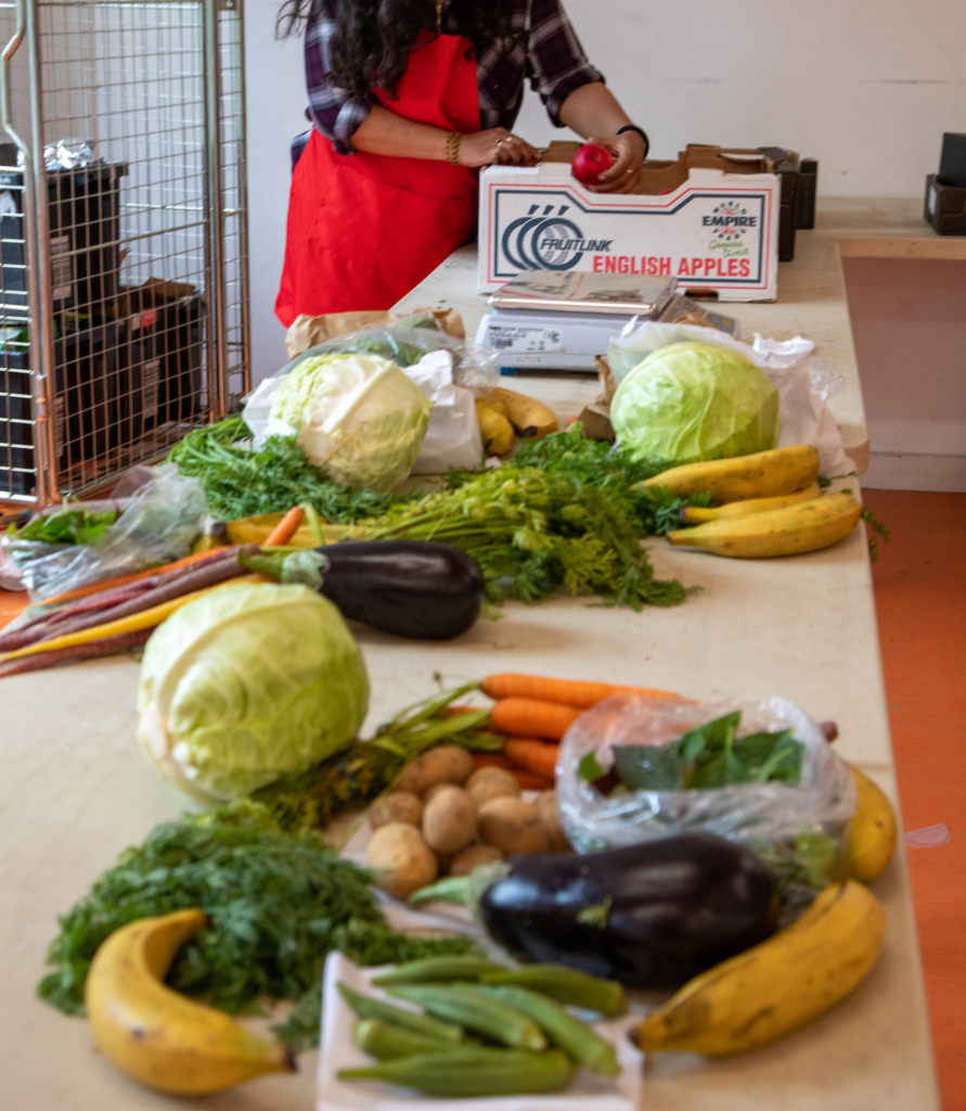 4.from seed to plate image only