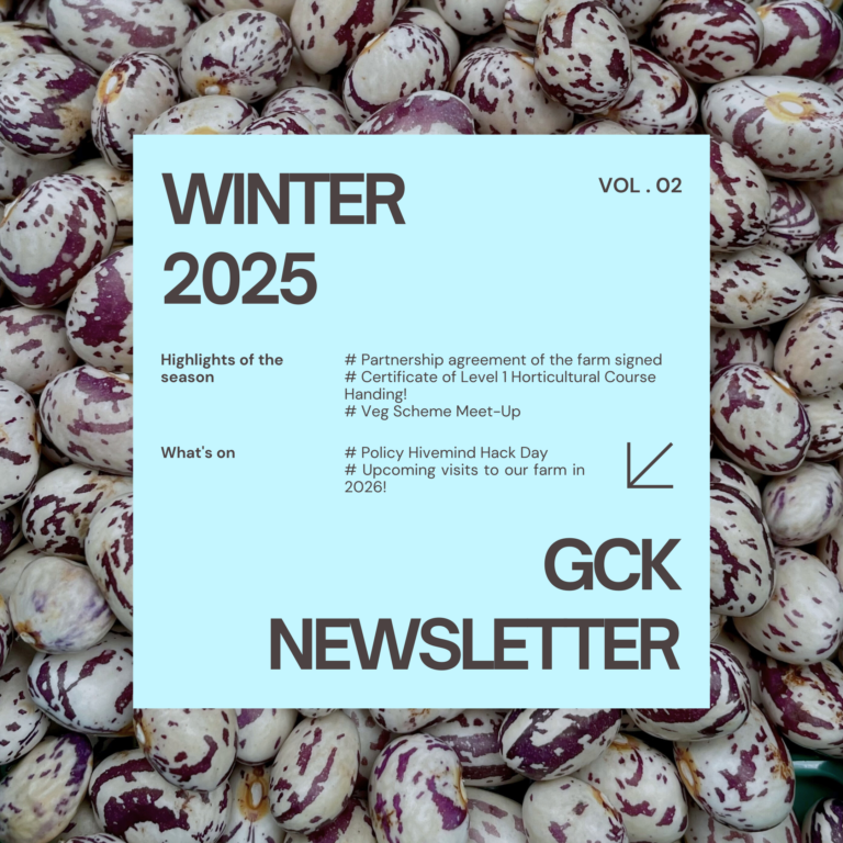 GCK Seasonal Newsletter #02 Winter 2025